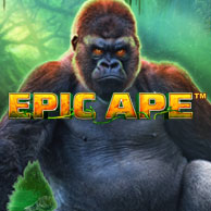 William Hill Casino Epic Ape Slots